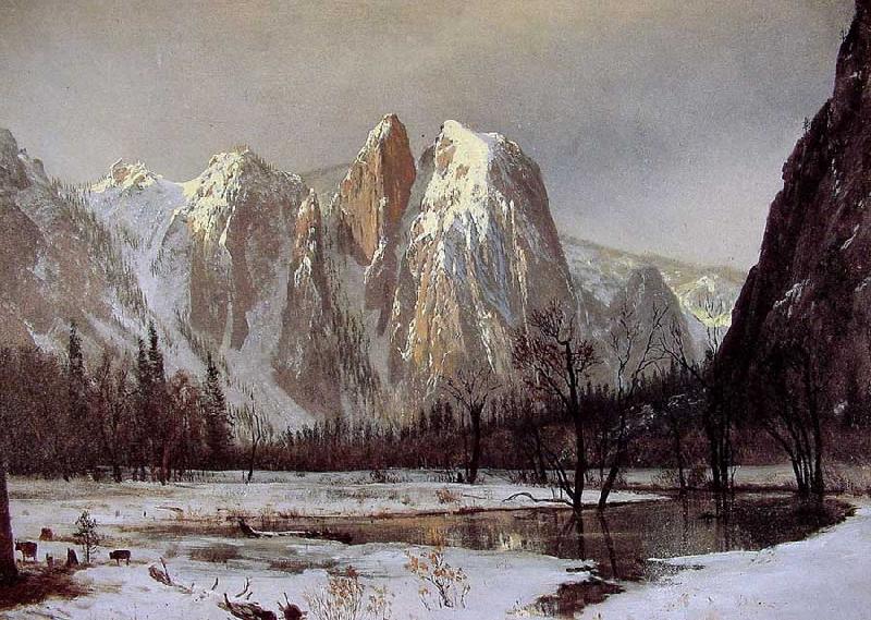 Albert Bierstadt Cathedral Rock, Yosemite Valley oil painting image